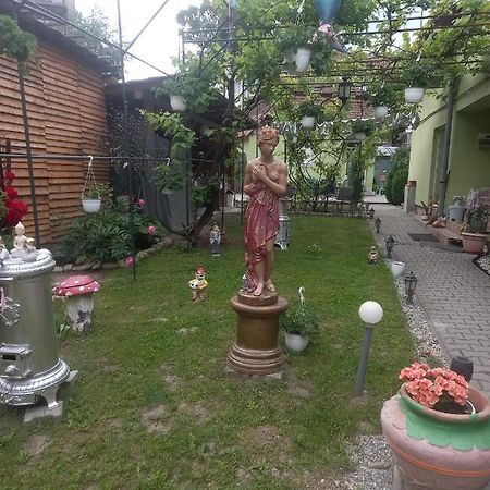 Casa Elena Διαμέρισμα Σιγκισοάρα Εξωτερικό φωτογραφία