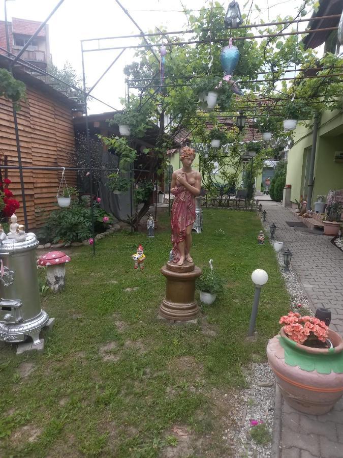 Casa Elena Διαμέρισμα Σιγκισοάρα Εξωτερικό φωτογραφία