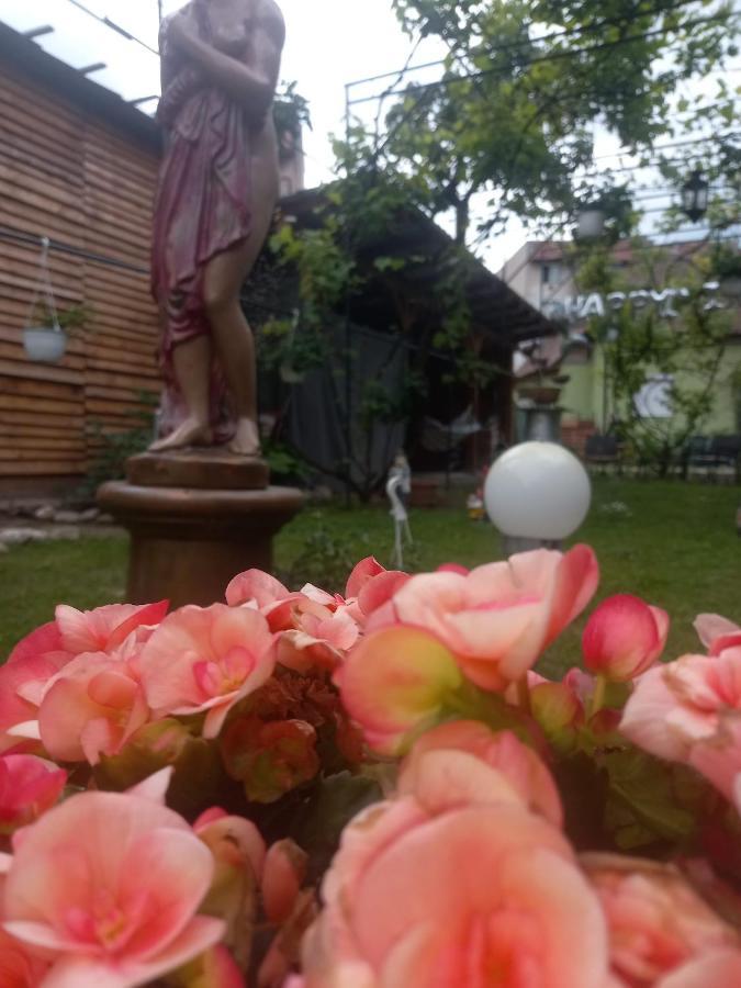 Casa Elena Διαμέρισμα Σιγκισοάρα Εξωτερικό φωτογραφία