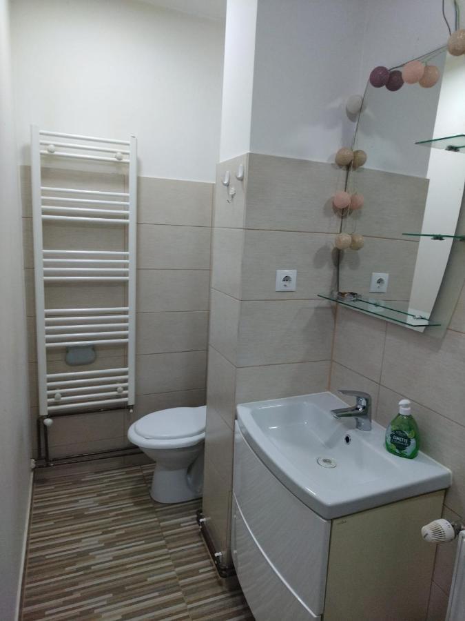 Casa Elena Διαμέρισμα Σιγκισοάρα Εξωτερικό φωτογραφία