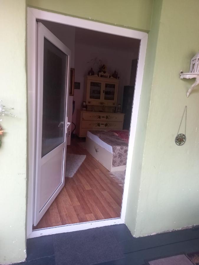 Casa Elena Διαμέρισμα Σιγκισοάρα Εξωτερικό φωτογραφία
