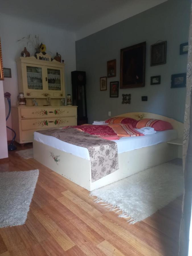 Casa Elena Διαμέρισμα Σιγκισοάρα Εξωτερικό φωτογραφία