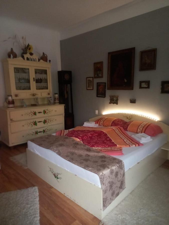 Casa Elena Διαμέρισμα Σιγκισοάρα Εξωτερικό φωτογραφία