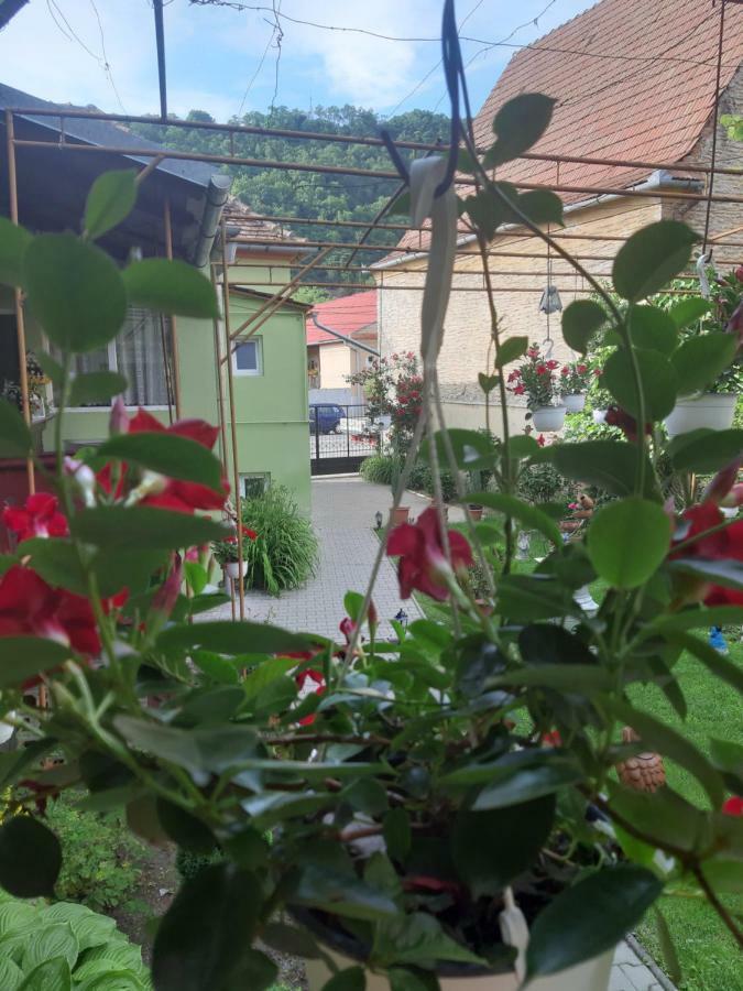 Casa Elena Διαμέρισμα Σιγκισοάρα Εξωτερικό φωτογραφία
